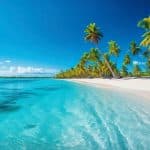 From Santo Domingo: Isla Saona Full-Day Tour with Lunch