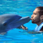 Punta Cana: Dolphin Explorer Swims and Encounters - Photo 3 (Gallery view)