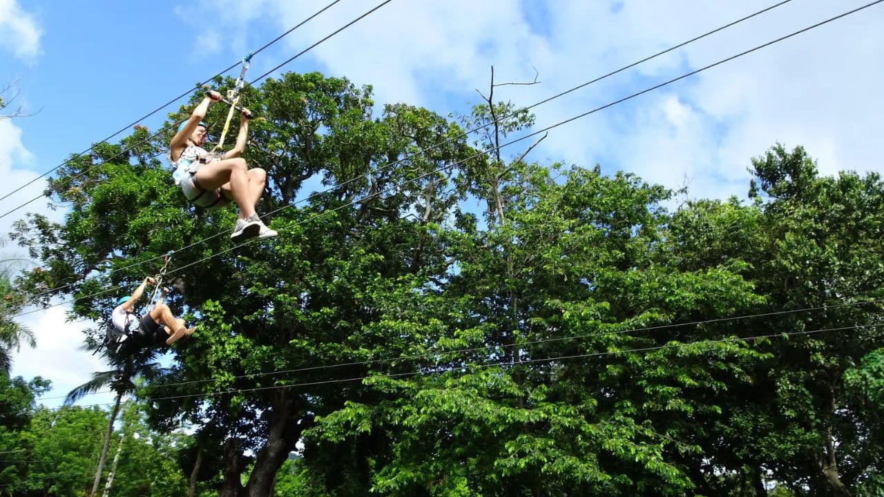Ride N Zip Adventure in Puerto Plata - Photo 3 (Gallery view)