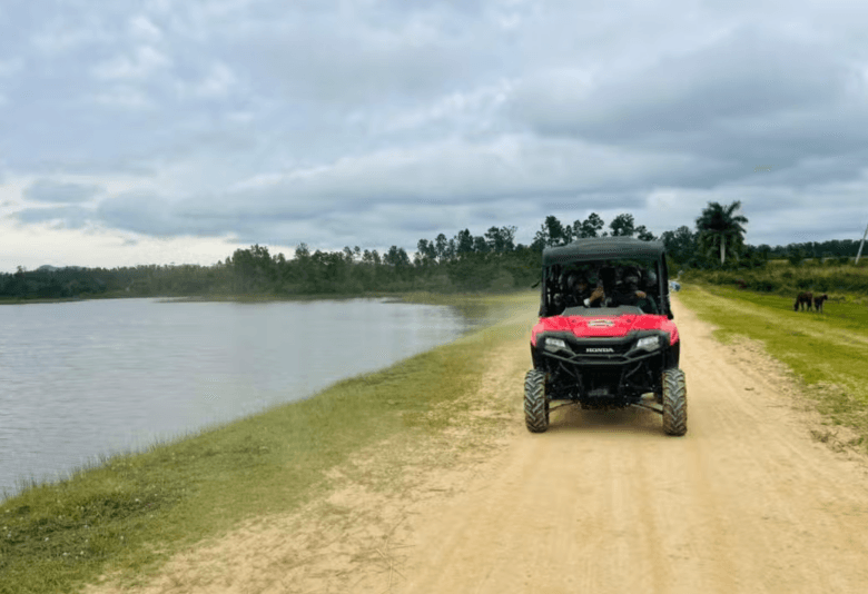 Viñales Valley Buggy Tours