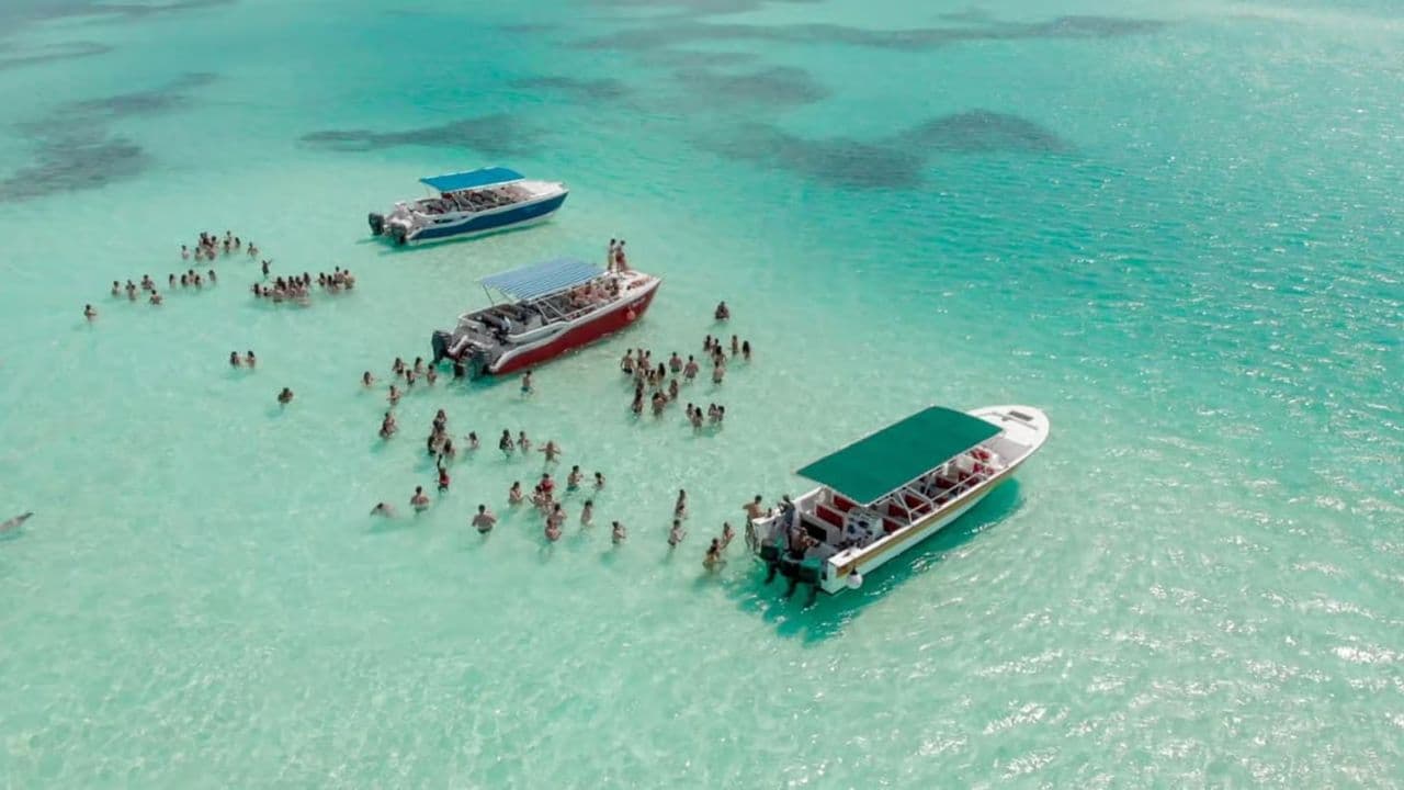 Party Boat Booze Cruise with Snorkling