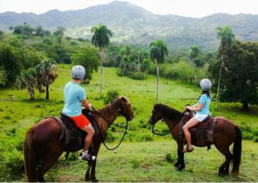VIP DayPass | ATV's, Zip Lines, Horse Riding| Hotel & Cruise