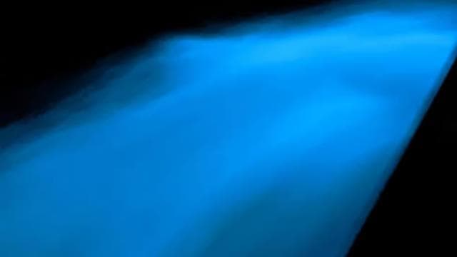 Bioluminescence Night Snorkeling Tour From Pochote Beach