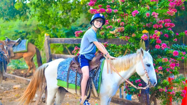 Horseback Riding at Macao Beach and River with Transfers - Photo 5 (Gallery view)
