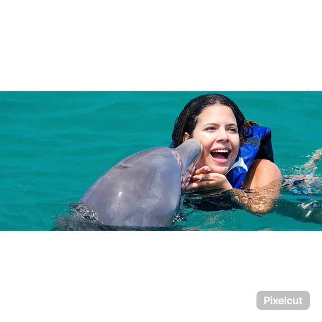 Punta Cana: Dolphin Explorer Swims and Encounters - Photo 4 (Gallery view)