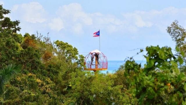 Din San Juan: tur de aventură cu Zipline Canopy - Photo 2 (Gallery view)
