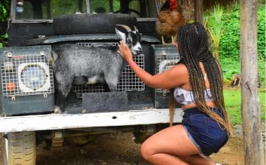 Punta Cana: Zipline, Chairlift, Buggy & Horse Ride Adventure - Photo 3 (Gallery view)