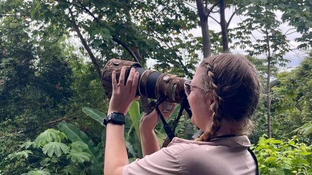 Manuel Antonio: Scarlet Macaw Tour with Professional Photos