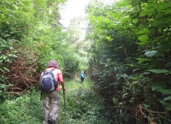 Damajagua: 27 Waterfalls Tour with Entrance Fee & Lunch - Dominican Republic