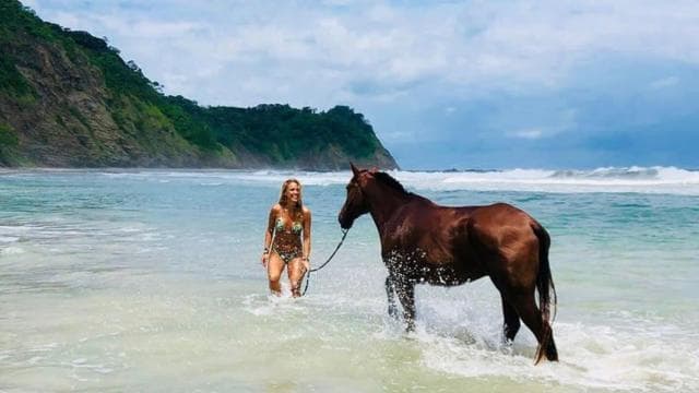 Guanacaste: Safari & Buenavista Beach Horse Riding Tour - Dominican Republic