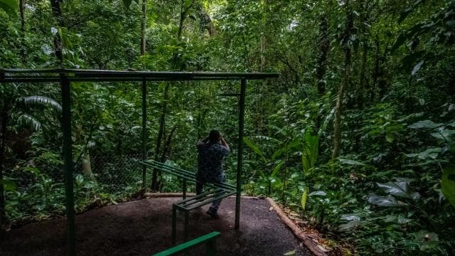 El Tanque: GreenEcoPark Guided Hike with Seasonal Fruits