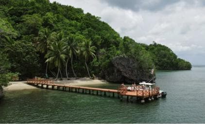 Samana: Private Los Haitises Expedition Caves & Mangroves - Photo 4 (Gallery view)