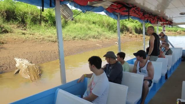 Tarcoles River: Jungle Crocodile Safari & Bird Watching Tour - Photo 3 (Gallery view)