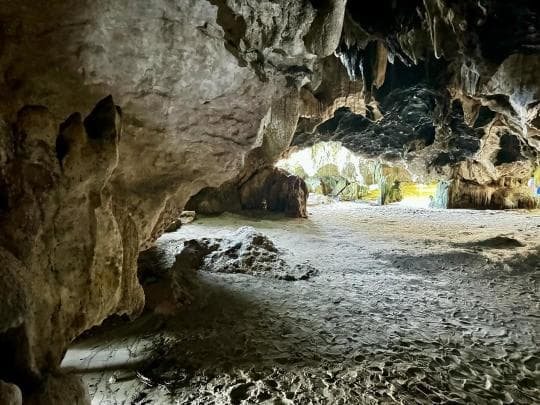 Los Haitises National Park & Cayo Levantado Tour from Samaná Port – Adults $60 | Kids $45