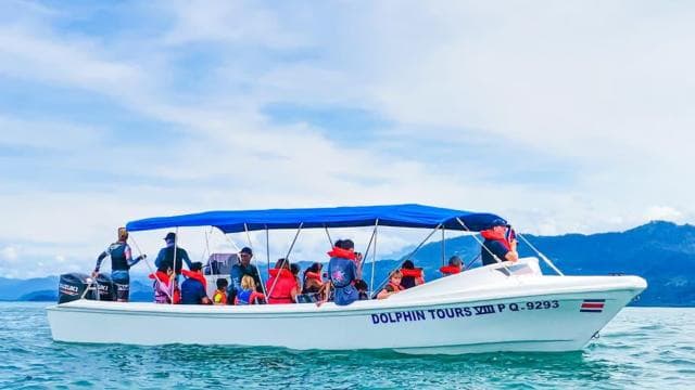 From Uvita: Day Trip to Corcovado National Park by Boat