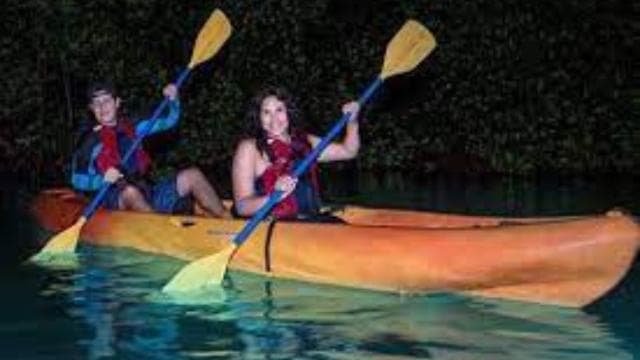 Fajardo: Bioluminescent Lagoon Kayak or Full Moon Kayak Tour