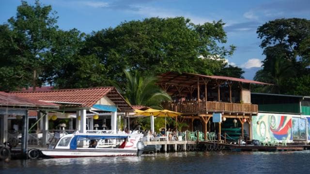 Motorboat Tour in Tortuguero National Park **BEST SELLER**
