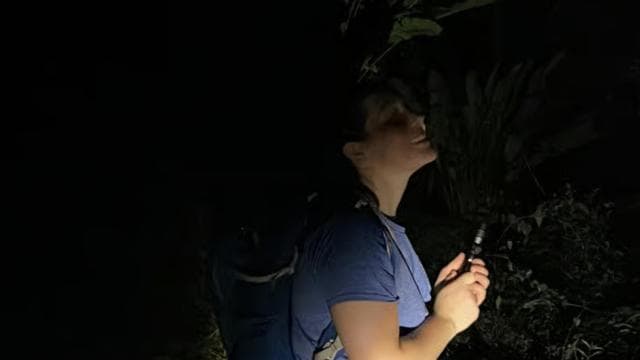 Manuel Antonio National Park Night Tour - Photo 5 (Gallery view)