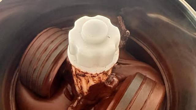 Moca, PR: Cacao Farm Walking Tour and Chocolate Tasting