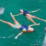 Dolphin Swim in Punta Cana – Best 60-min Dolphin Discovery