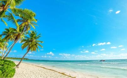 Samana: Cayo Levantado with Transportation Included