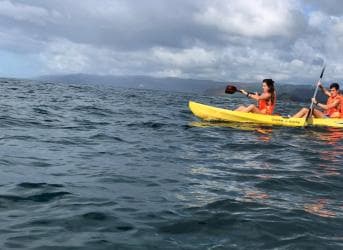 Las Terrenas : Whale watching & Kayaking  