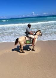 Punta Cana: Guided Horseback Tour of Beaches and Fields