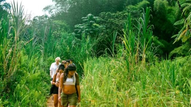 Vivid Day Tour in El Yunque Rain Forest with Transportation