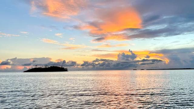 From San Juan: La Parguera Glowing Bio Bay Boat Tour