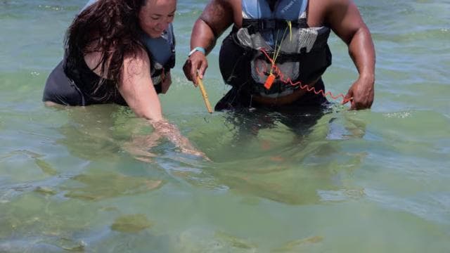 Puerto Rico: Jetski & Tropical Coast Experience