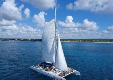 Saona Island all day with lunch and open bar departing from Punta Cana - Photo 3 (Gallery view)