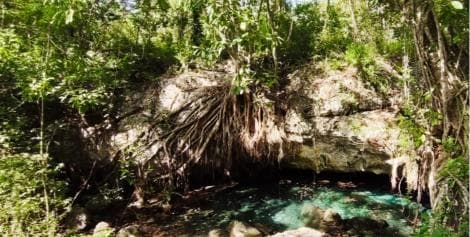Bayahibe: National Park Jungle Walk & Snorkeling in Cenotes - Dominican Republic