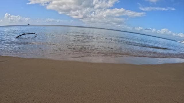 Vieque: Power Boat Turtle Snorkel and Beach Tour with Lunch