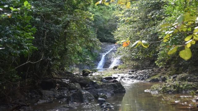 San Juan, PR: Hike to a Hidden Waterfall Adventure