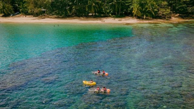Punta Uva: Clear Kayak Tour with Jungle and Sea Views