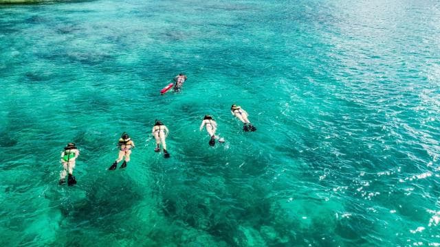 Fajardo: Culebra Island Guided Snorkeling Boat Tour