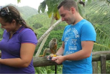 Punta Cana: Ziplines Adventures & Monkeyland Entry