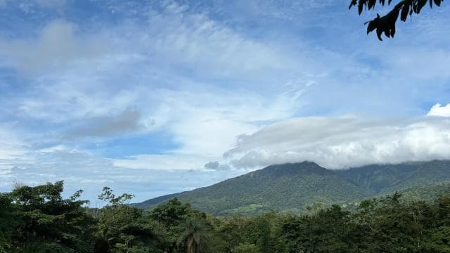 Bijagua: Kayak and Tropical Forest Trail Tour