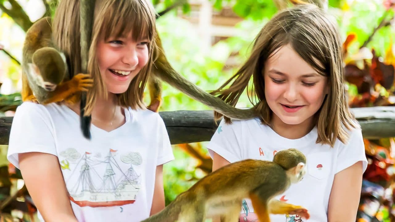 Punta Cana: Half-day tour Monkey Land Safari Tour
