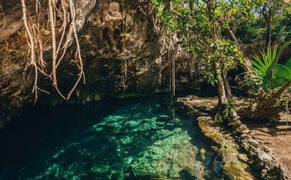 Soukromé: Bayahibe: Procházka džunglí a šnorchlování Cenote - Photo 4 (Gallery view)