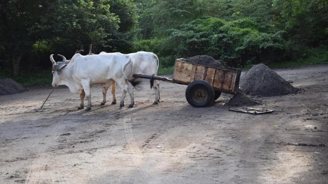 Guanacaste: Palo Verde Wildlife Safari Boat Tour - Dominican Republic
