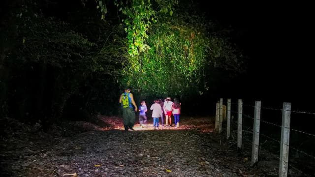 Fortuna: Arenal Volcano Rainforest Night Tour (Private) - Photo 2 (Gallery view)