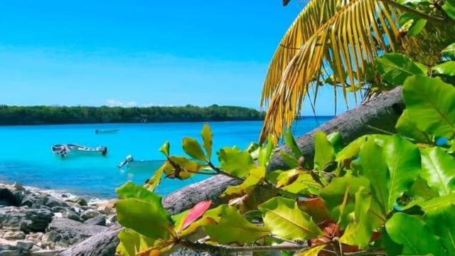 La Romana: Catalina Island Day Trip with Lunch & Drinks - Photo 4 (Gallery view)