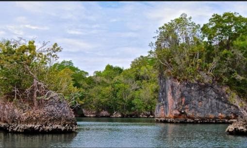 Los Haitises Boat Ride + Caño Hondo Natural Pools