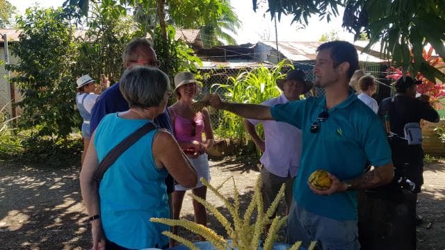 Puerto Limon: Half-Day Tortuguero Canals & Playa Bonita Tour