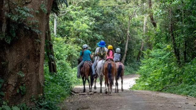 Rincón de la Vieja: Exclusive Eco Adventure 12-in-1 Day Pass