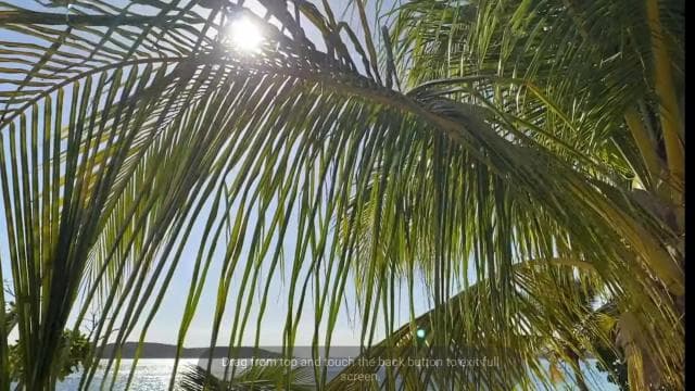Vieques Adventure by Ferry from Ceiba.