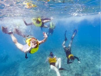 Private: Catamaran Adventure & Beach BBQ at Catalina Island