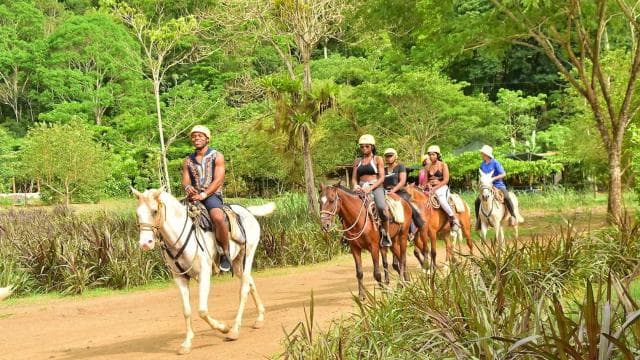 Jaco Beach: Zip-lining, Horseback Tour Combo