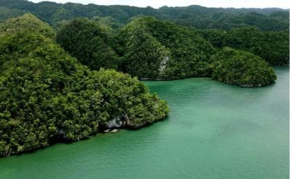 Los Haitises: Boat Excursion and Walking Tour with Lunch